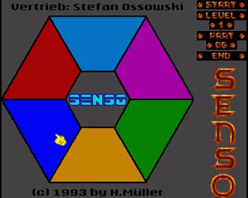 Senso screen shot game playing